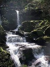 glen lyn gorge.jpg